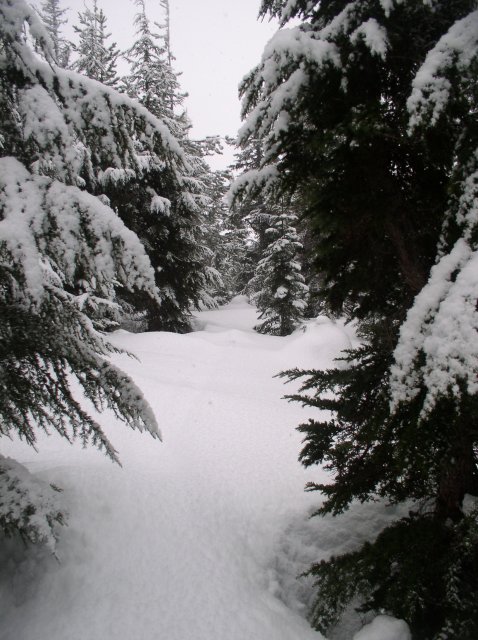 Ghost Ridge-Twin Lakes 028 